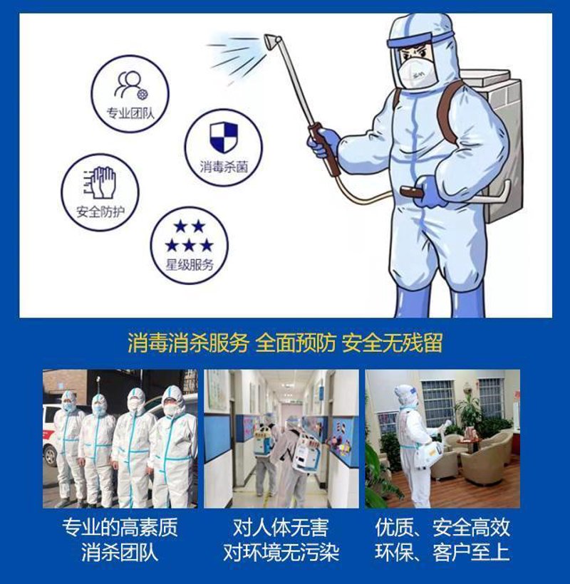 居家生活中的清洁难题：高效灭蟑螂方法揭秘