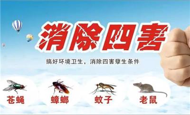 夏季家庭防蝇小妙招