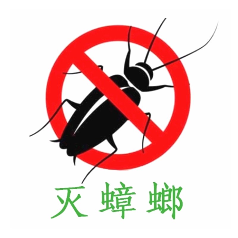 夏日生活的小烦恼：如何有效灭苍蝇