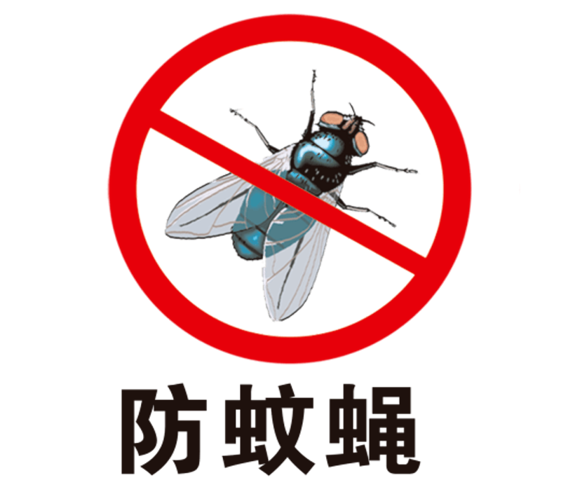 夏季如何有效灭蚊蝇？科学方法帮你解决烦恼