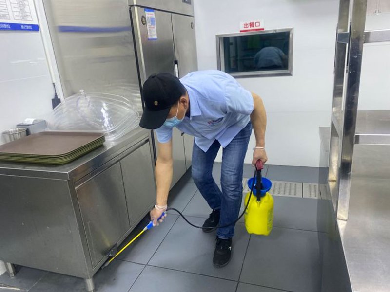 夏季灭蚊蝇大作战：让生活更无‘嗡’烦恼
