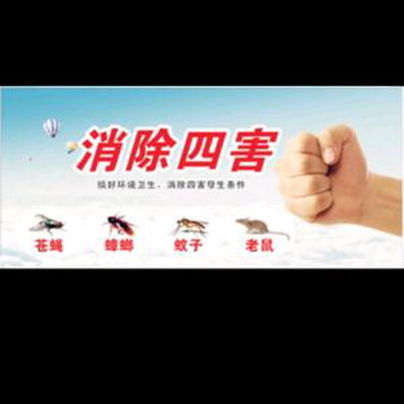 夏季如何有效灭蚊蝇？科学方法帮你解决烦恼